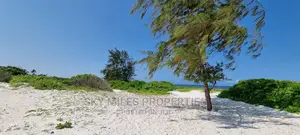 50 Acres Beach Property on Sale