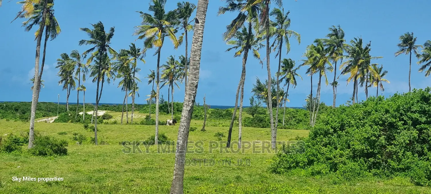 50 Acres Beach Property on Sale