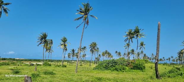 50 Acres Beach Property on Sale - thumbnail 8