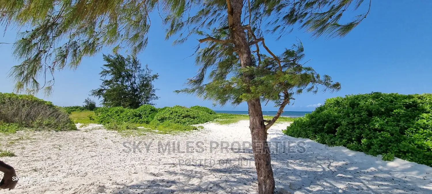 50 Acres Beach Property on Sale