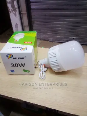 30w Rechargeable Bulb