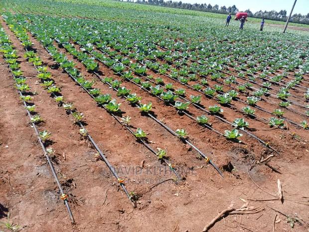 Drip Irrigation Installation - thumbnail 2