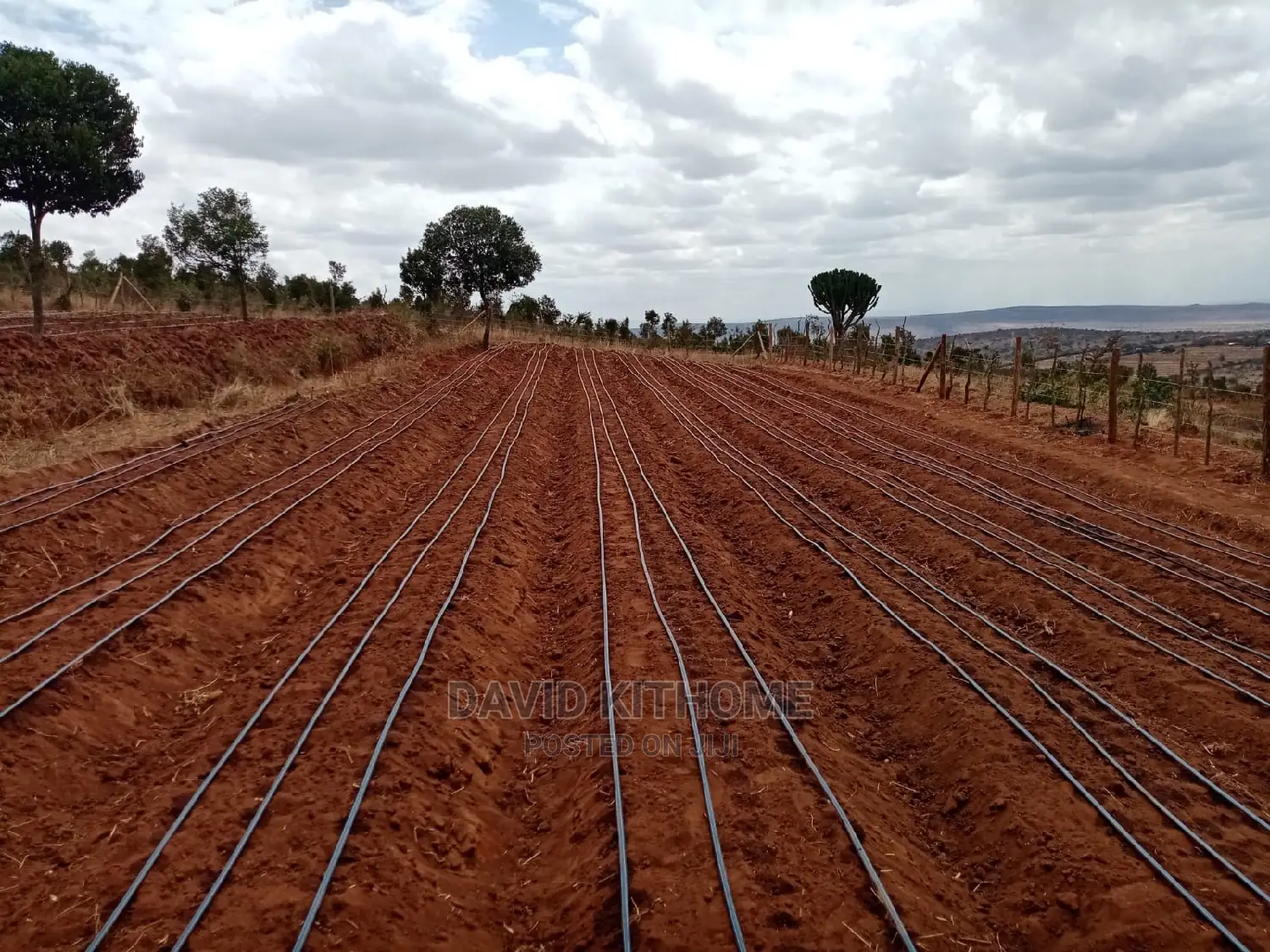 Drip Irrigation Installation
