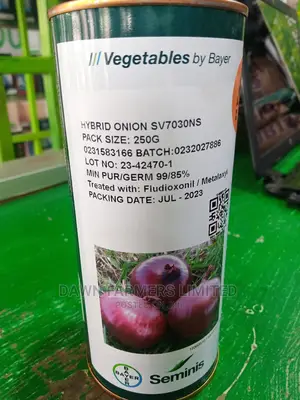 Hybrid Onion Sv7030ns 250gms