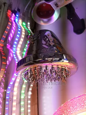 Silver Shower Head 4T