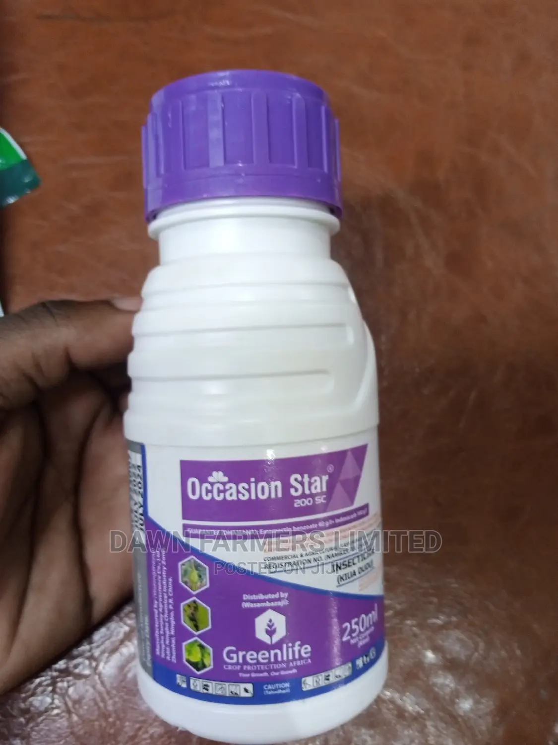 Occasion Star 250gms