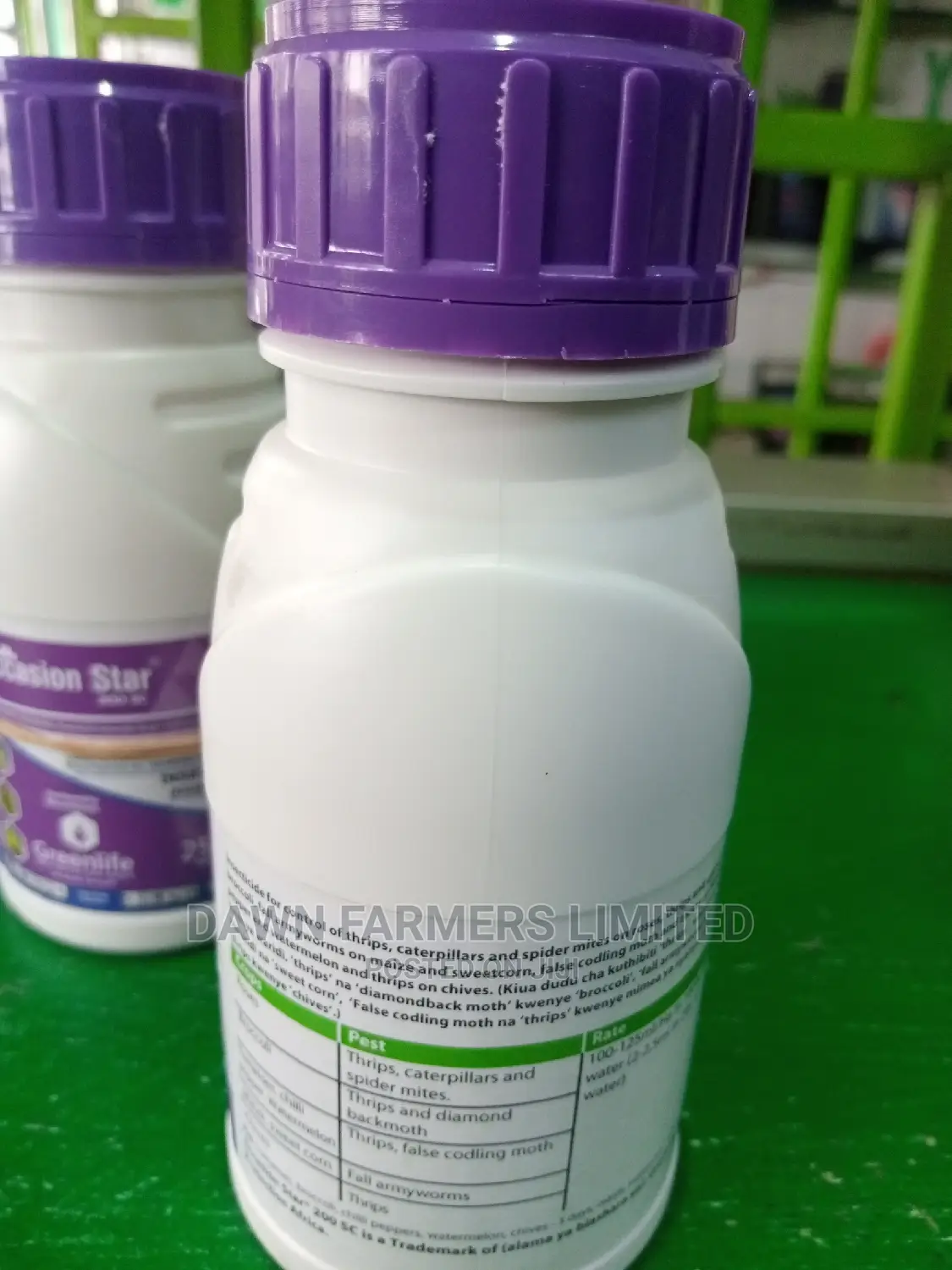 Occasion Star 250gms
