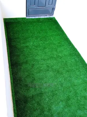 Artificial Turf Grass Carpet (20mm)
