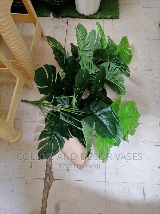 Monstera Plants 18 Leaves - main view