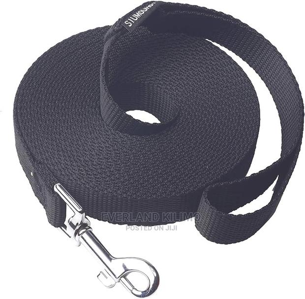 Long Training Dog Flat Leash - main view