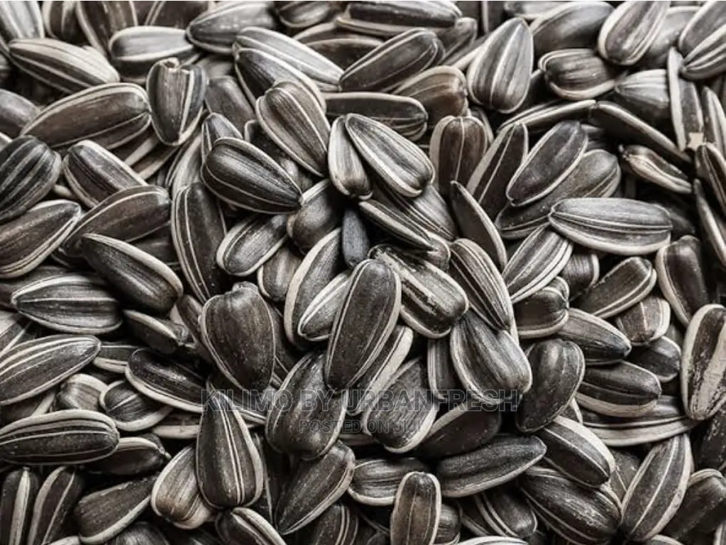 Sunflower Seed for Planting Moq 5.