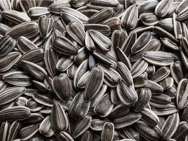 Sunflower Seed for Planting Moq 5. - main view