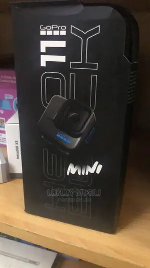 Gopro HERO11 Black Mini