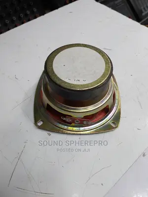 Naked Speaker 4 Inch