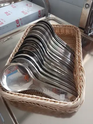 Serving Spoon Silver Non Stick/Non Rust Serving Spoon