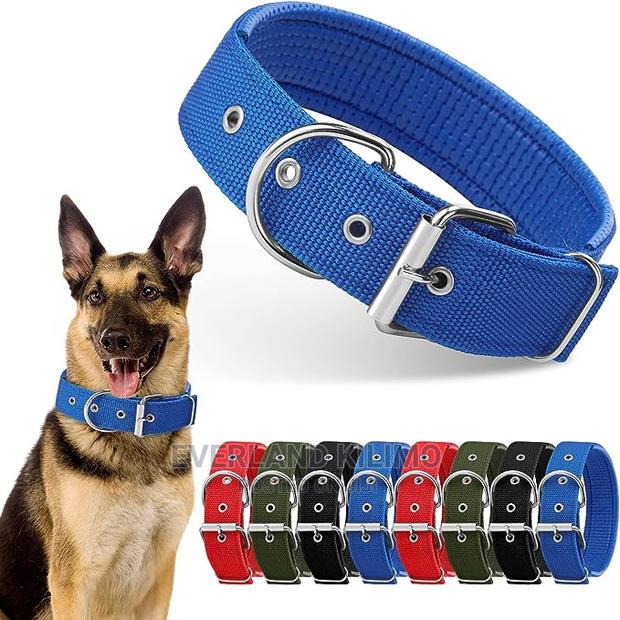 Padded Pet Collar - main view