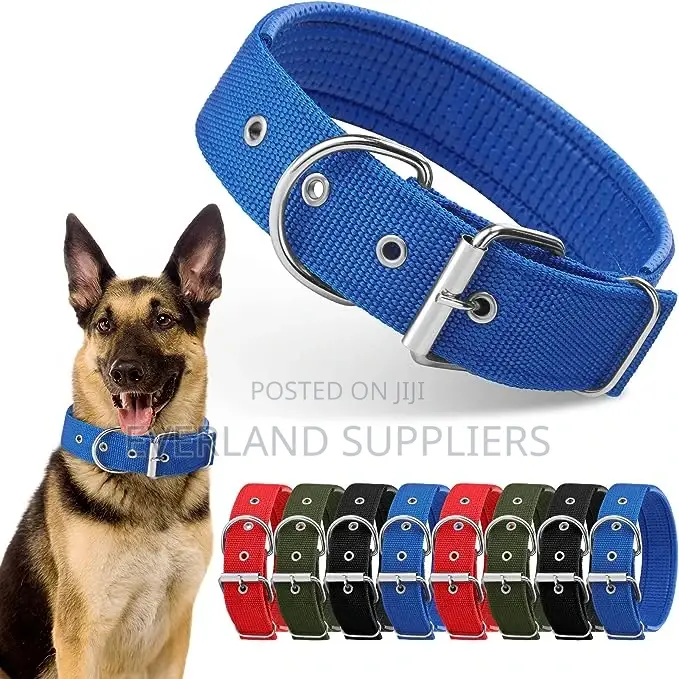 Padded Pet Collar