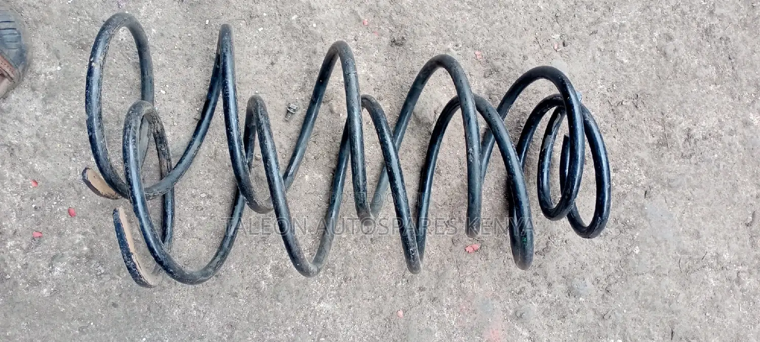 Toyota Land Cruiser V8 Rear Original Springs