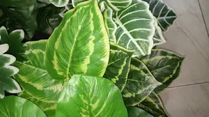 Green Plant Artificial