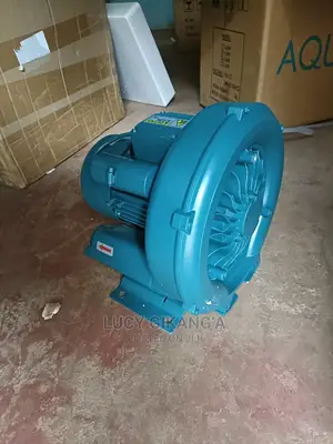 Jacuzzi Blower