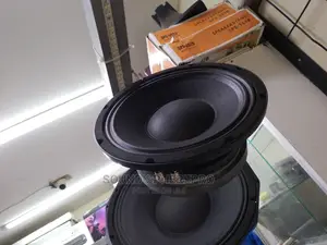 Ashley HS10P99 10 Inch Naked Speaker