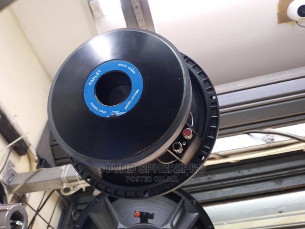 Ashley HS10P99 10 Inch Naked Speaker - main view