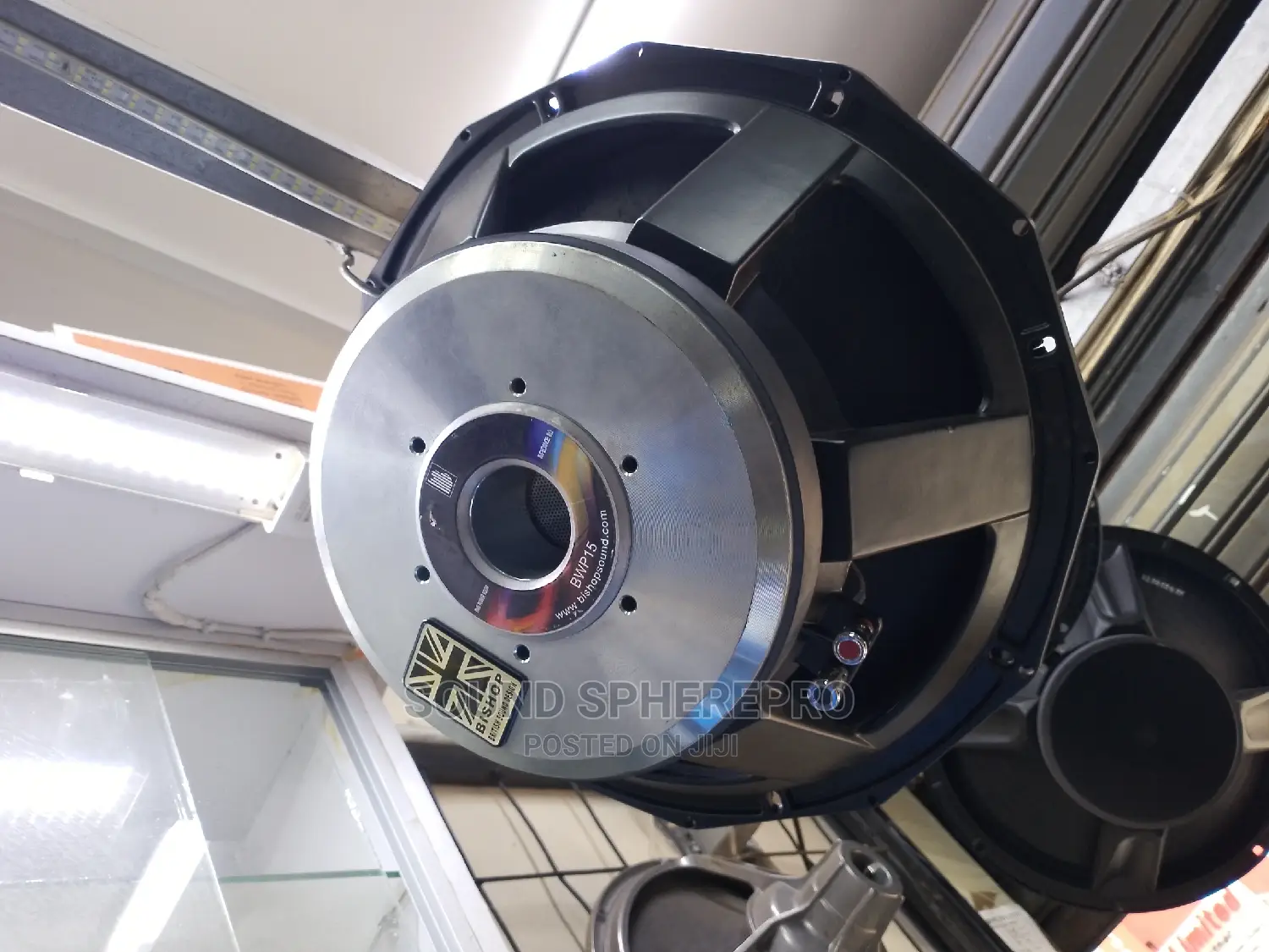 Bishop BWP15 15inch Naked Speaker