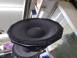 Bishop BWP15 15inch Naked Speaker