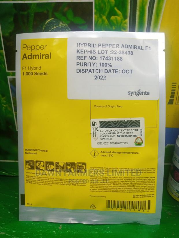Admiral F1 ,Pepper 1000 Seeds - thumbnail 2