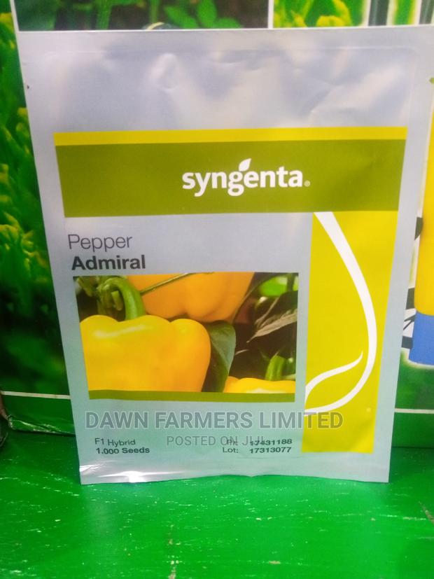 Admiral F1 ,Pepper 1000 Seeds
