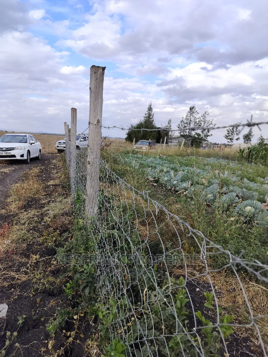 Kitengela Isinya Plots Size 50*100