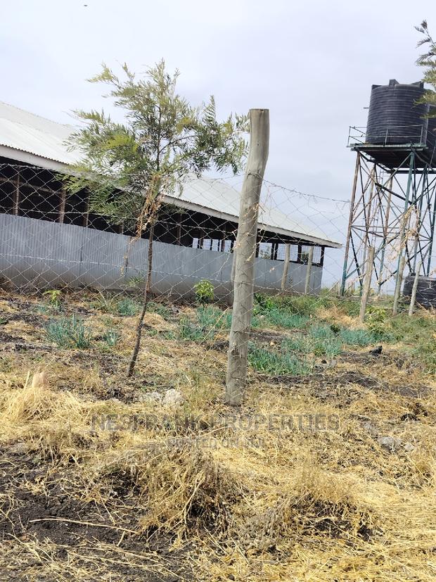 Kitengela Isinya Plots Size 50*100 - thumbnail 14