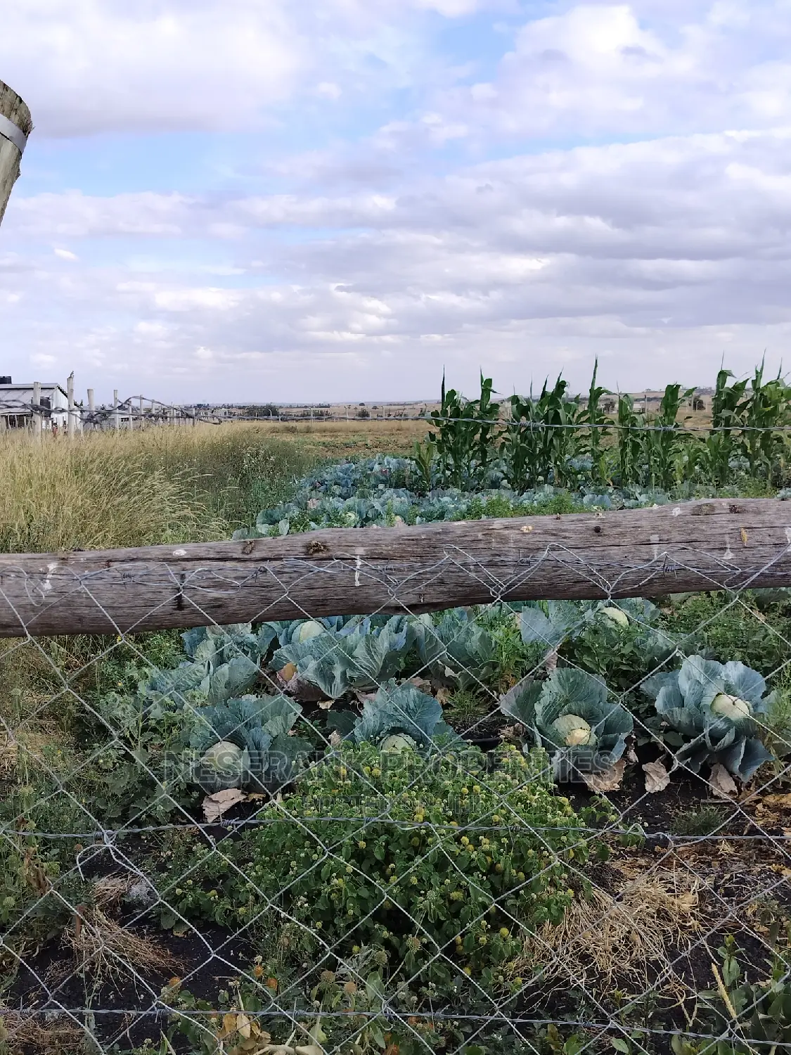 Kitengela Isinya Plots Size 50*100
