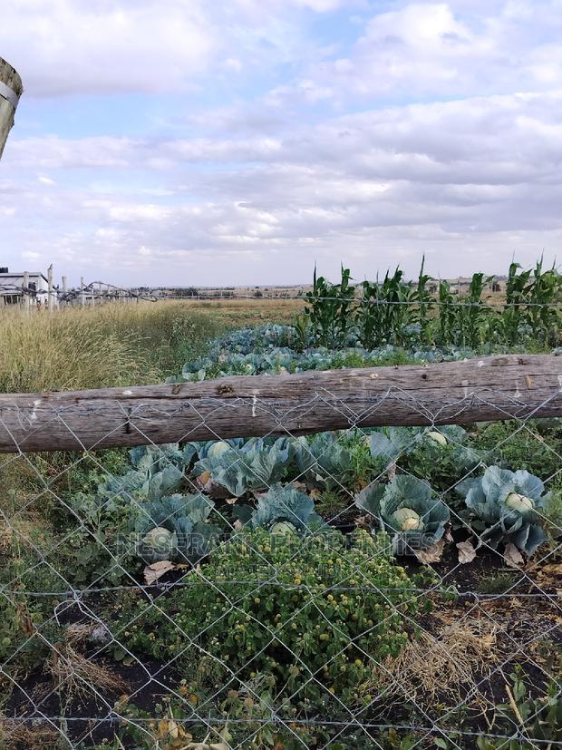 Kitengela Isinya Plots Size 50*100 - thumbnail 5