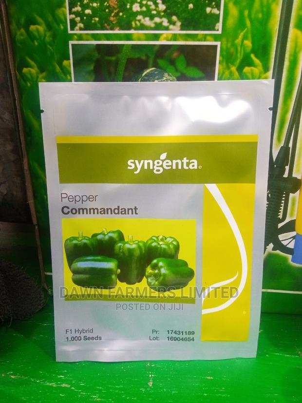 Commandant F1 Hybrid, Sweet Pepper 1000 Seed