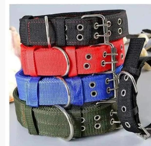 Heavy Duty Adjustable Dog Collar, With Foam Padding - Small - main view