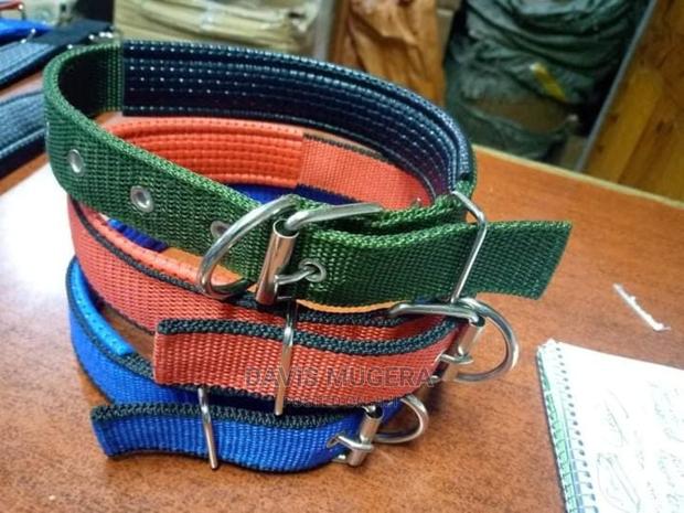 Heavy Duty Adjustable Dog Collar, With Foam Padding - Small - thumbnail 3