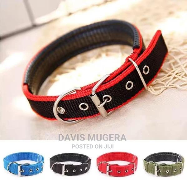 Heavy Duty Adjustable Dog Collar, With Foam Padding - Small - thumbnail 4