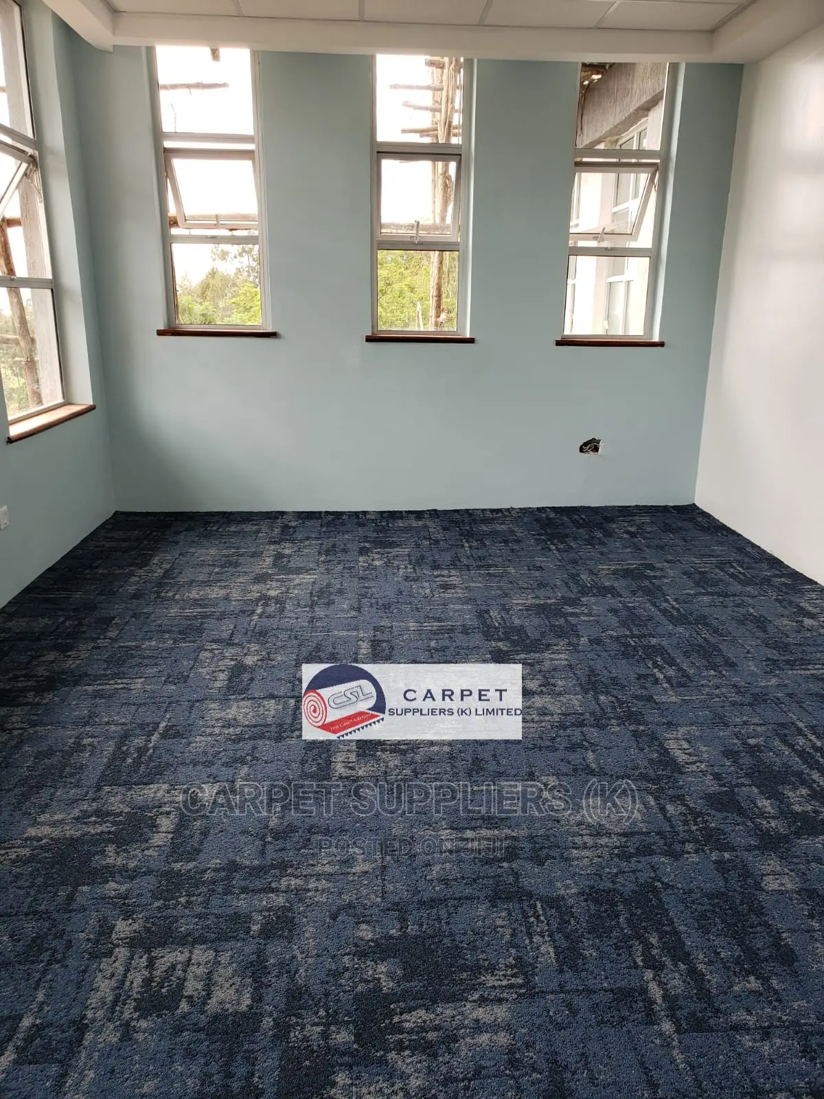 Grey Carpet