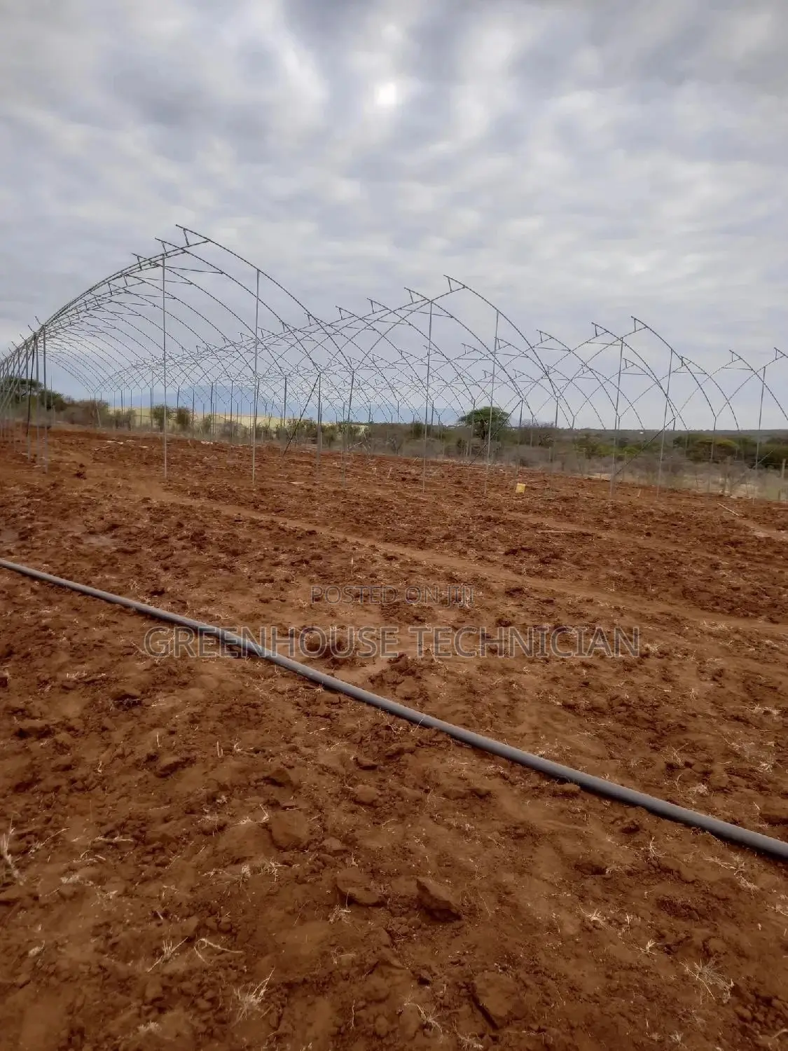 Greenhouses Technician,
