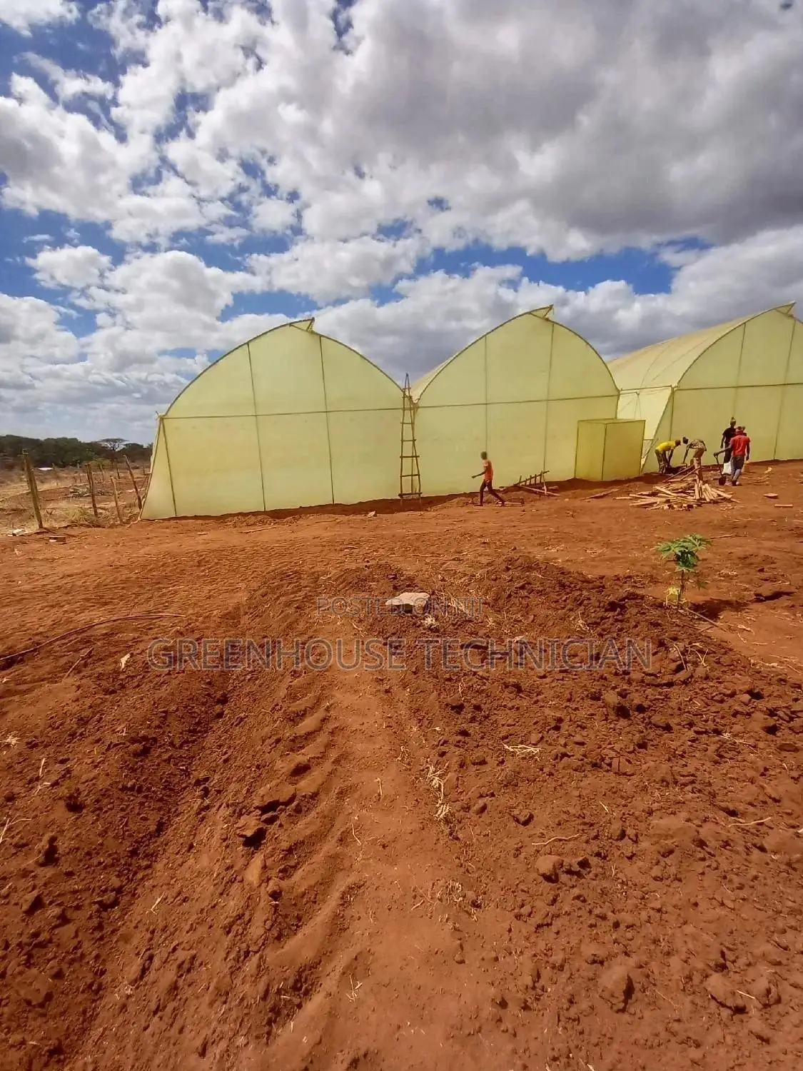 Greenhouses Technician,