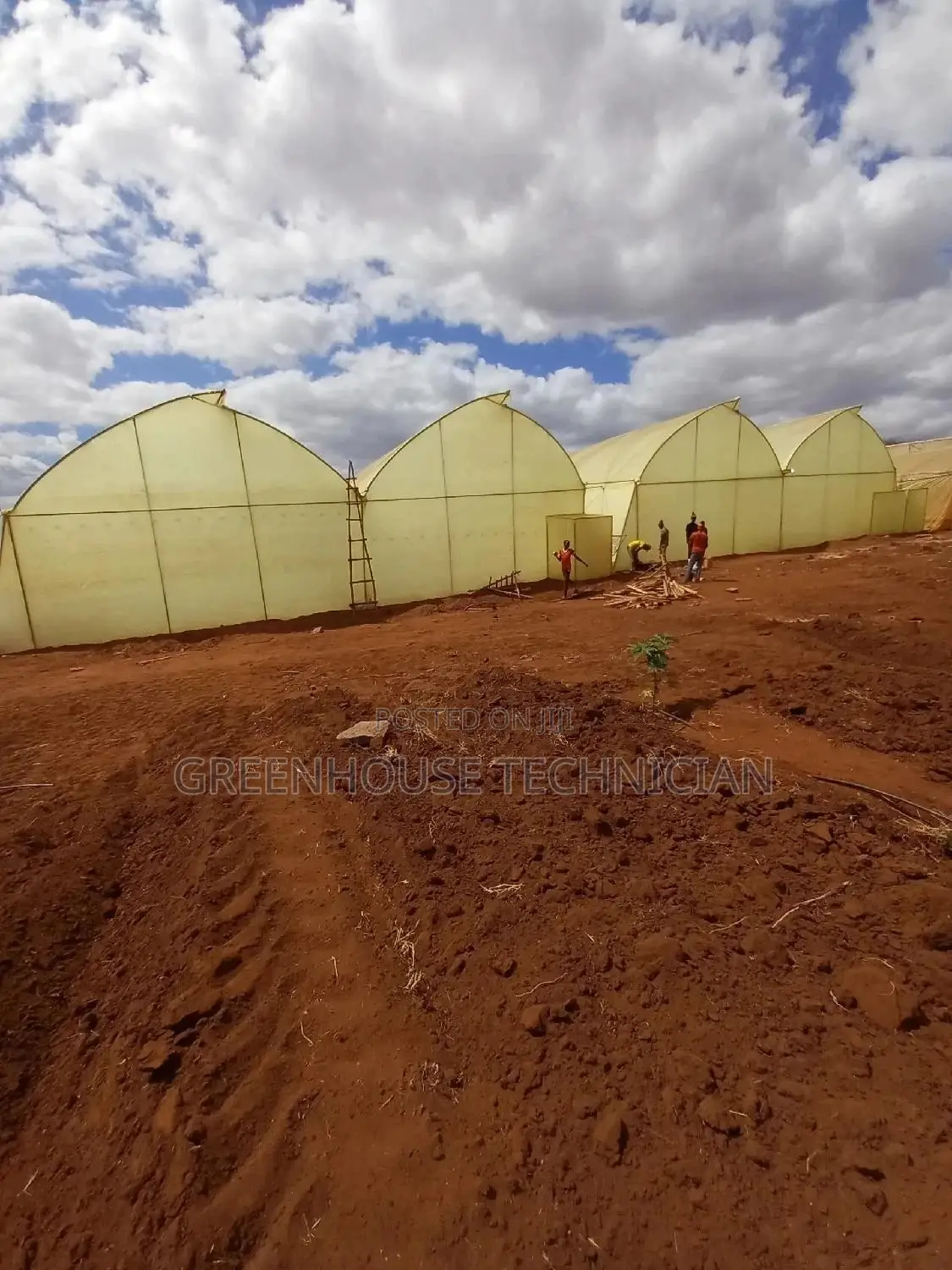 Greenhouses Technician,