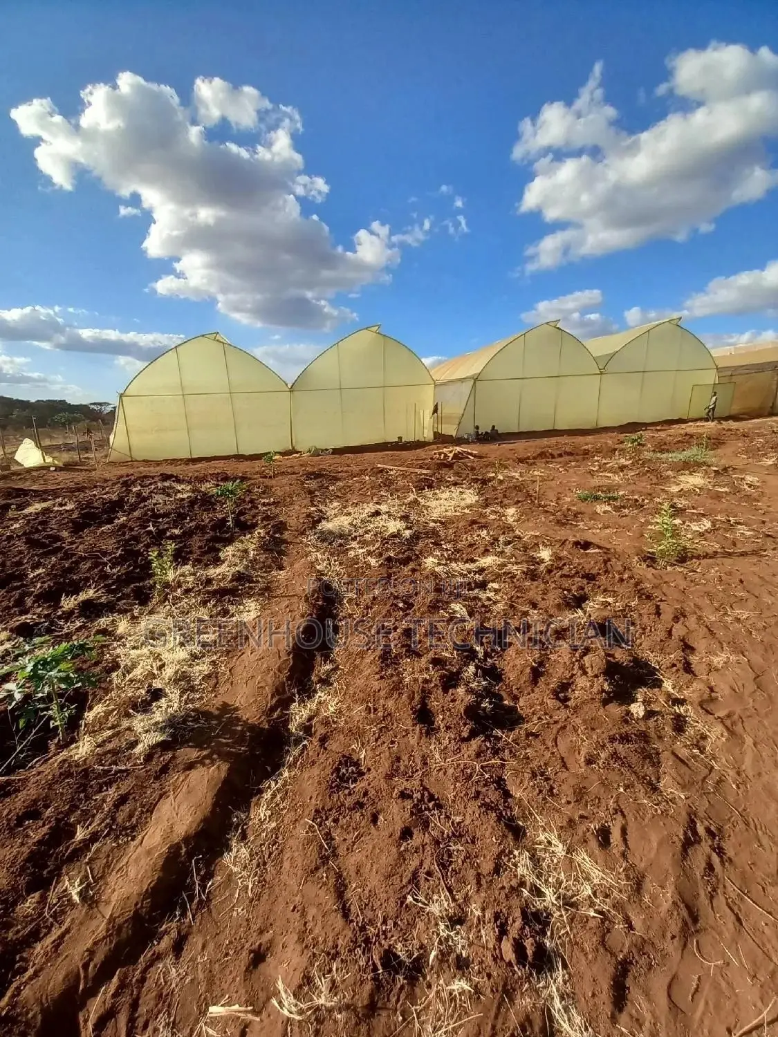 Greenhouses Technician,