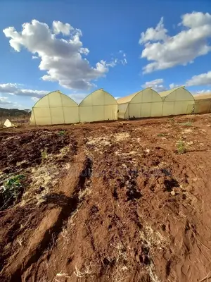 Greenhouses Technician,