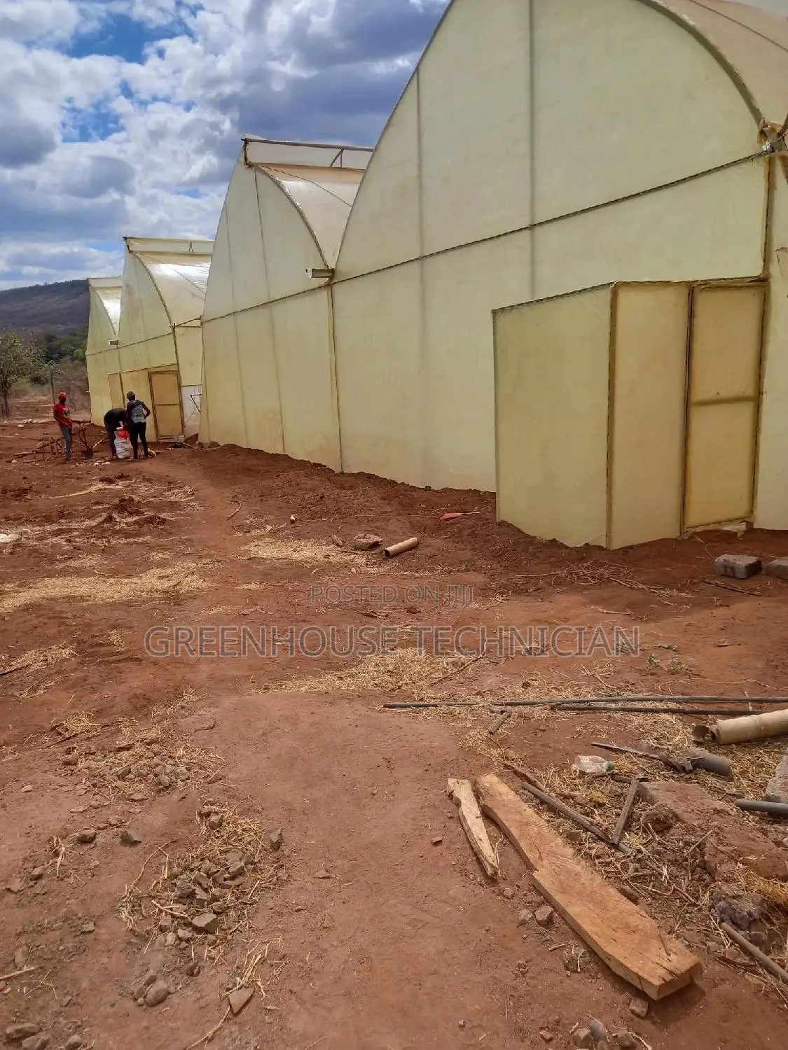 Greenhouses Technician,