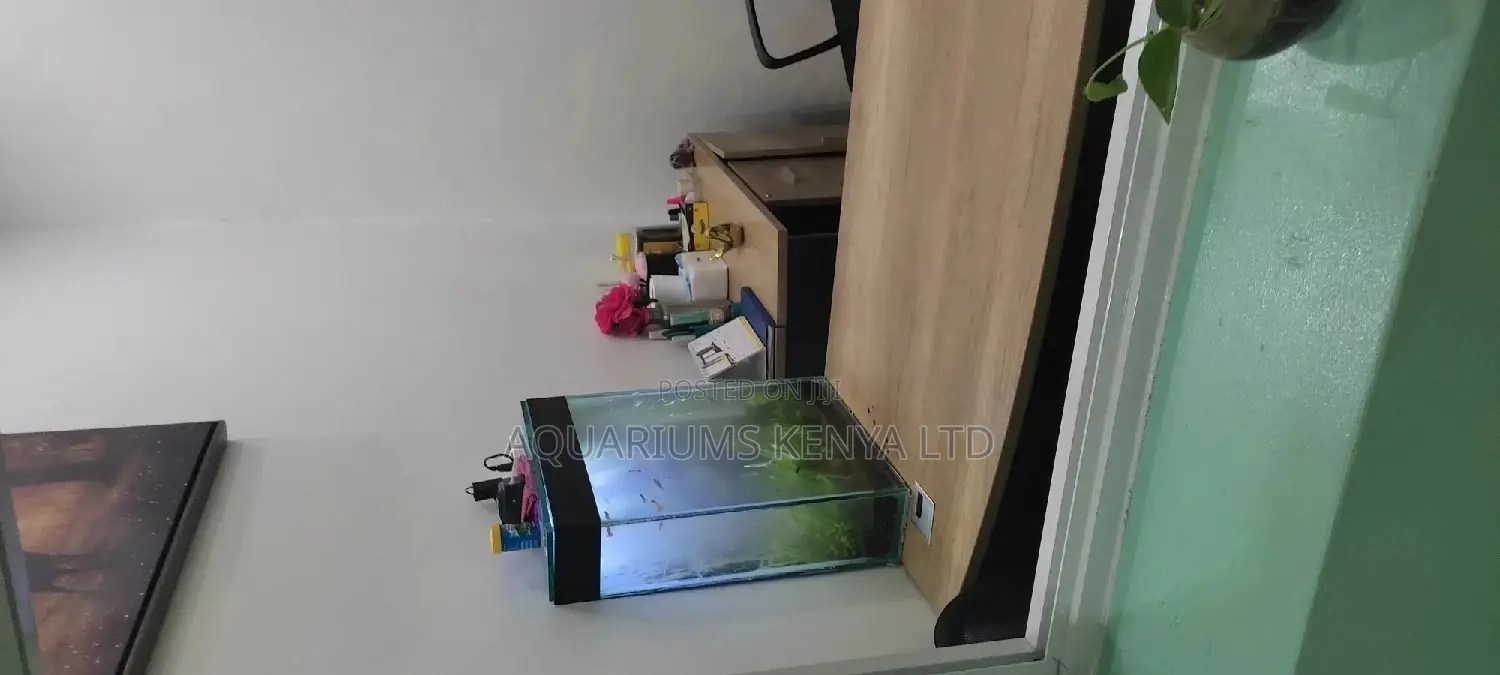 Office Desk Aquarium Slim and Classy Aquarium