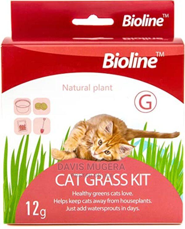 Bioline Cat Grass Kit 12G - main view