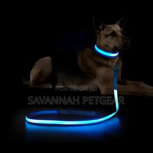 Illuminating Night Glowing USB Rechargeable Led Dog Leash