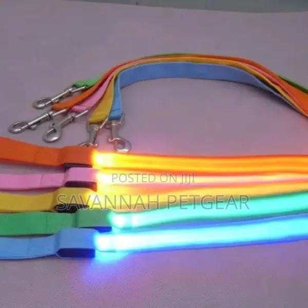 Illuminating Night Glowing USB Rechargeable Led Dog Leash
