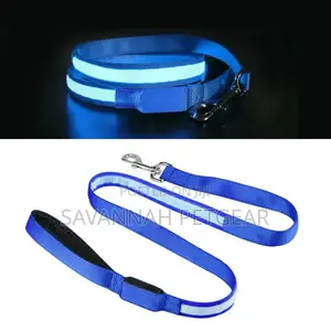 Illuminating Night Glowing USB Rechargeable Led Dog Leash